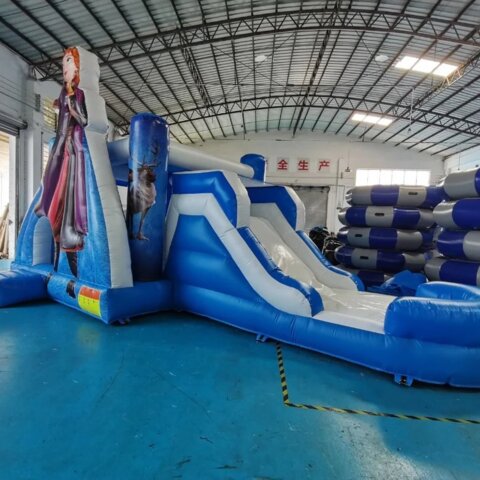 Frozen inflatable bounce house with Elsa and Anna
